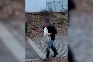 Labutě v centru Prahy se stávají kořistí neznámého muže v gumákách. Svědek to natočil - Novinky